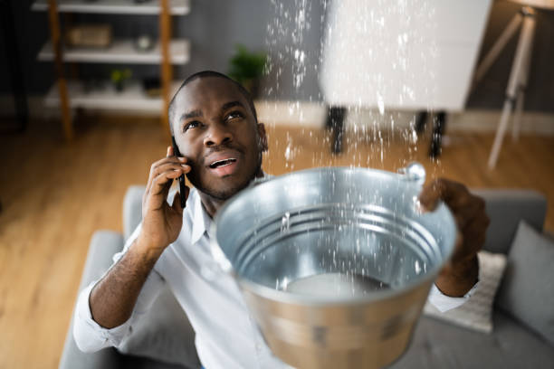  Weirton, WV Water damage restoration Pros