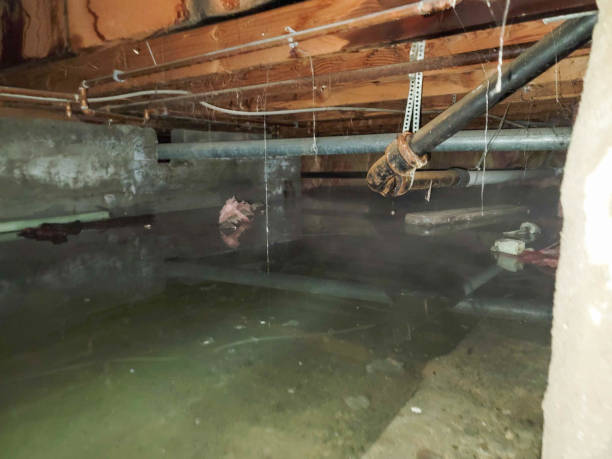 Best 24/7 water damage repair  in Weirton, WV