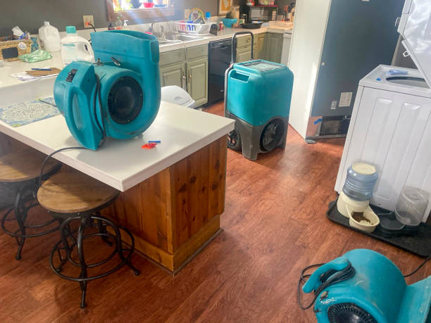 Best Emergency water damage restoration  in Weirton, WV