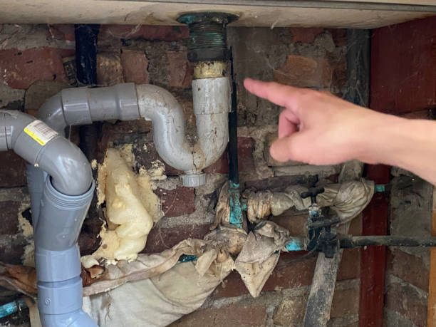 Best Flooded house restoration  in Weirton, WV