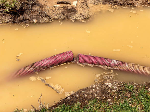 Best Water damage contractors near me  in Weirton, WV