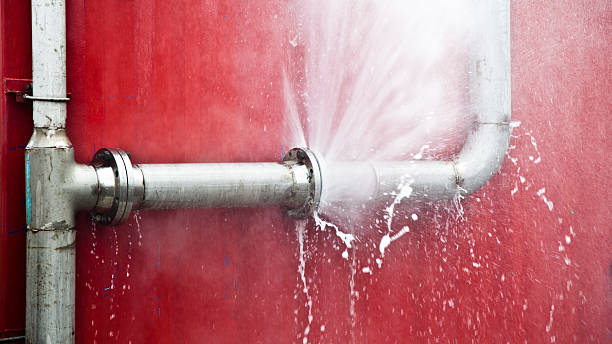 Best Carpet water damage restoration  in Weirton, WV
